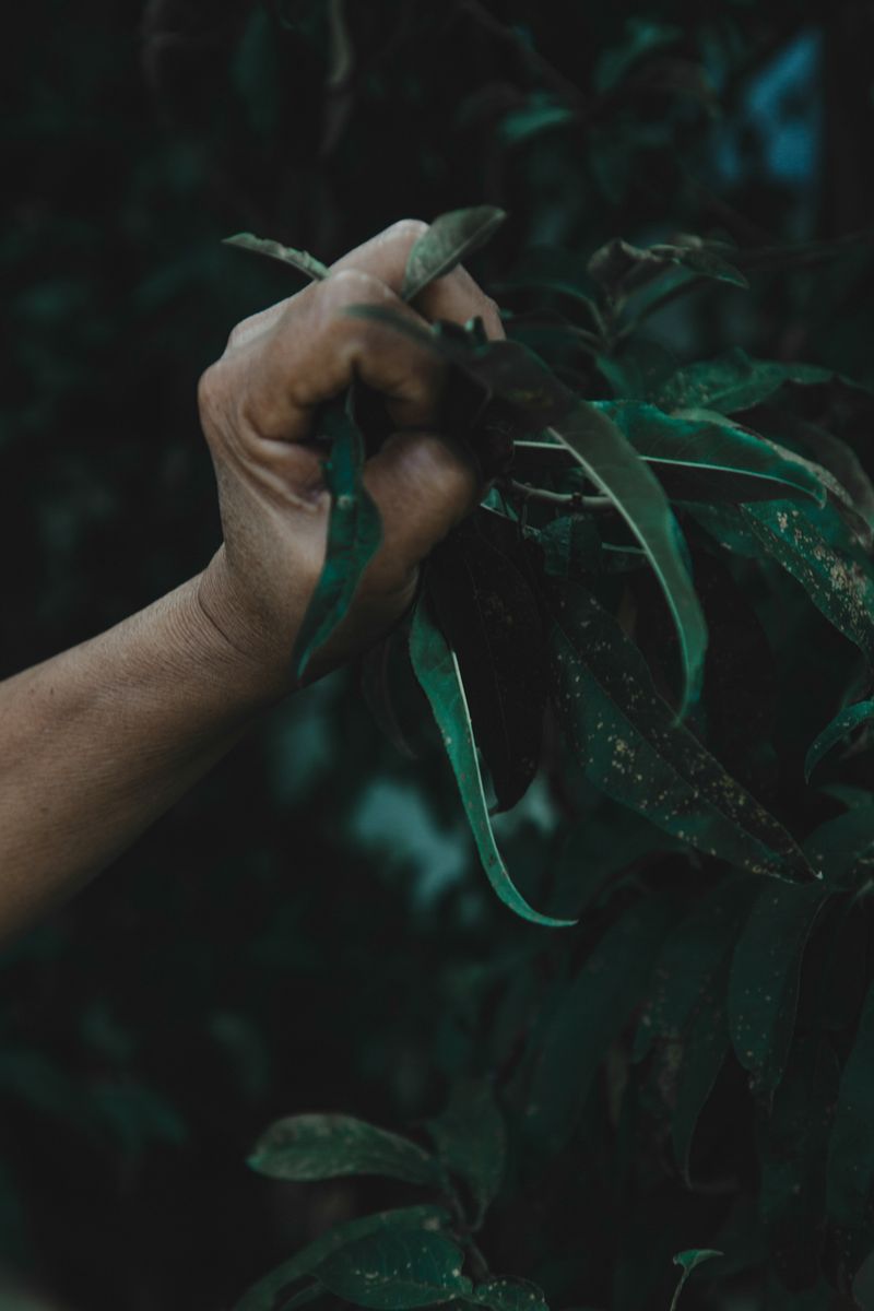 © Mariceu Erthal Garcia - Image from the Family secrets photography project