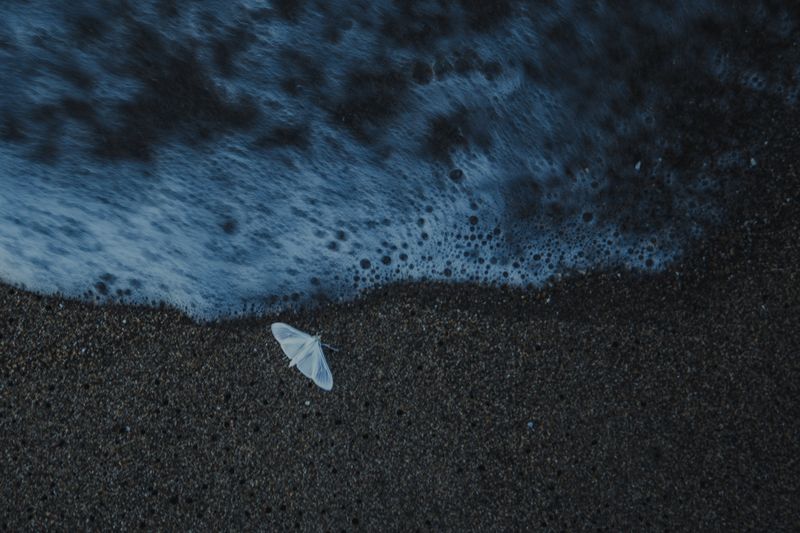 © Mariceu Erthal Garcia - Image from the Journey within photography project