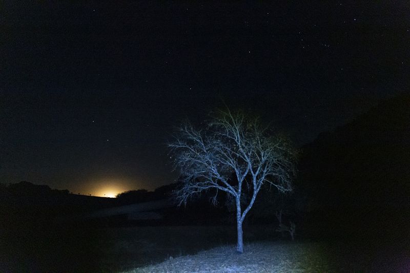 © Mariceu Erthal Garcia - Image from the Journey within photography project