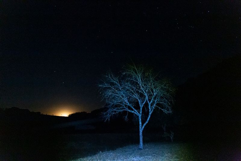 © Mariceu Erthal Garcia - Image from the Journey within photography project