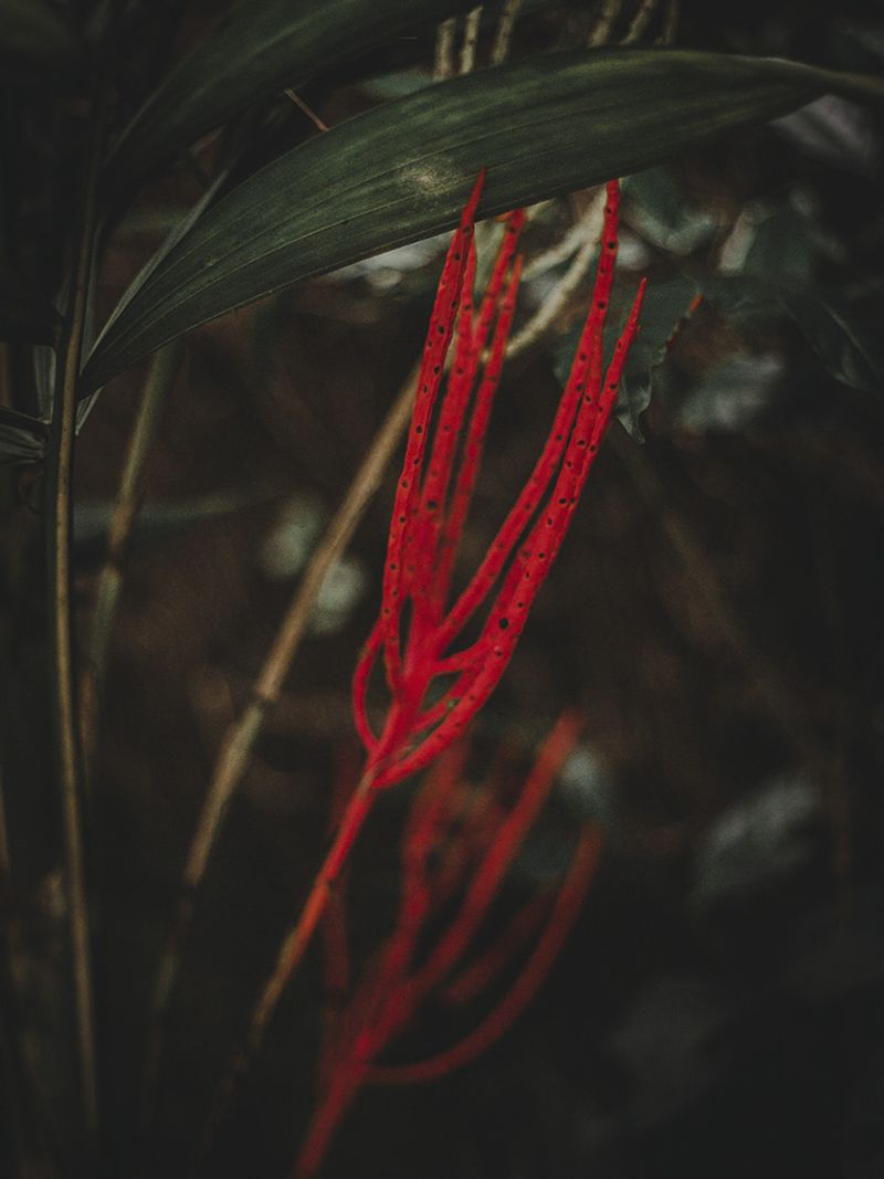 © Mariceu Erthal Garcia - Image from the Letters to Gemma photography project