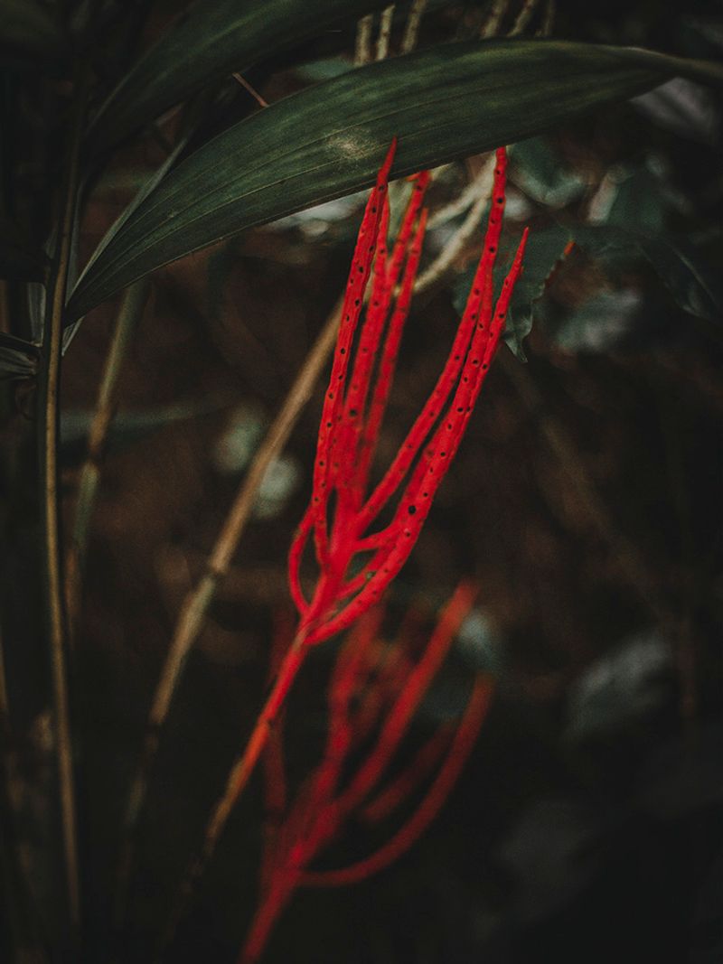 © Mariceu Erthal Garcia - Image from the Latters to Gemma photography project