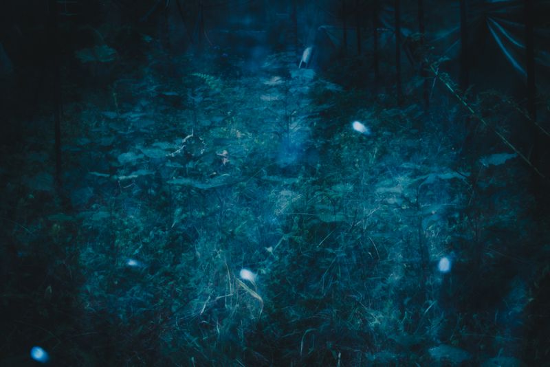 © Mariceu Erthal Garcia - Image from the Latters to Gemma photography project