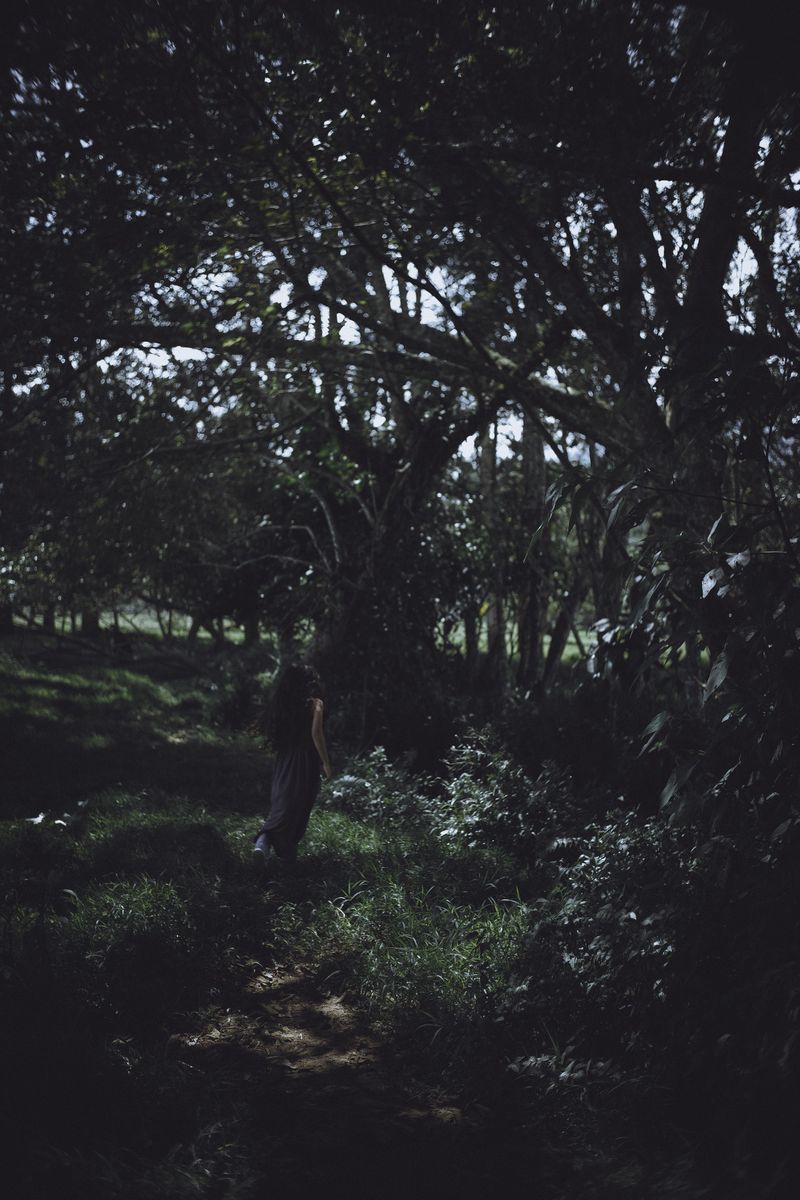 © Zonia Zena - Image from the Once it bursts into the air, nothing dies photography project