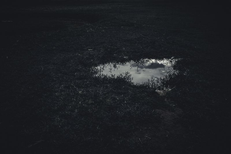 © Zonia Zena - Image from the Once it bursts into the air, nothing dies photography project