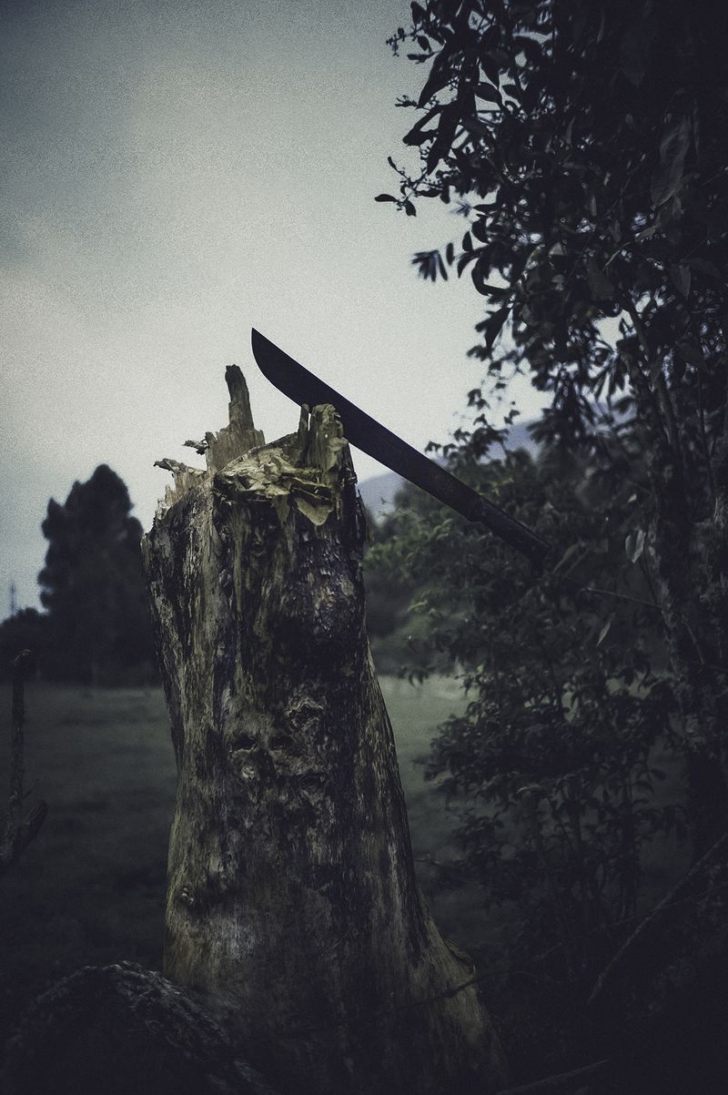© Zonia Zena - Image from the Once it bursts into the air, nothing dies photography project