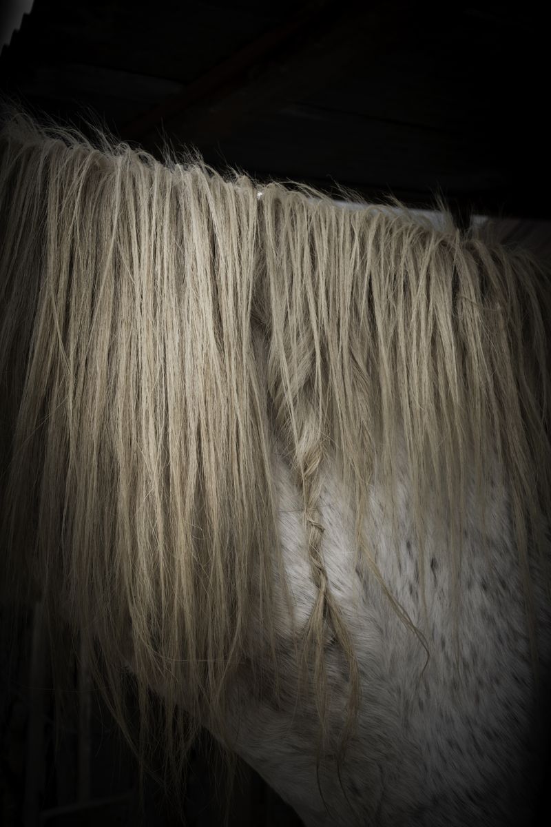 © Zonia Zena - Image from the Once it bursts into the air, nothing dies photography project