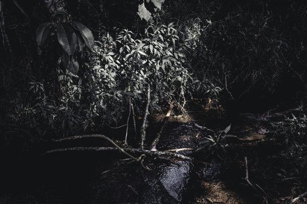 © Zonia Zena - Image from the Once it bursts into the air, nothing dies photography project