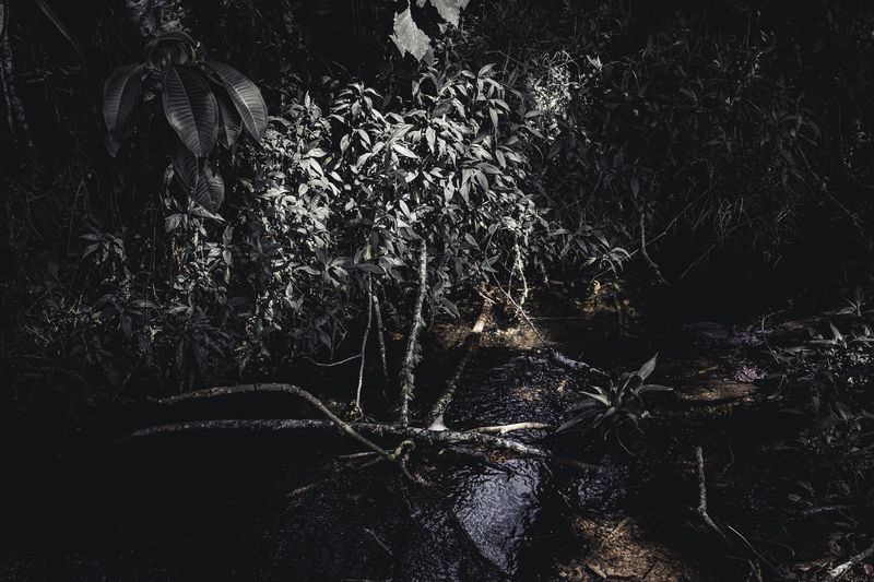 © Zonia Zena - Image from the Once it bursts into the air, nothing dies photography project
