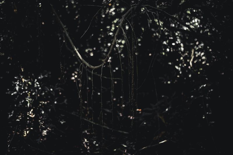 © Zonia Zena - Image from the Once it bursts into the air, nothing dies photography project
