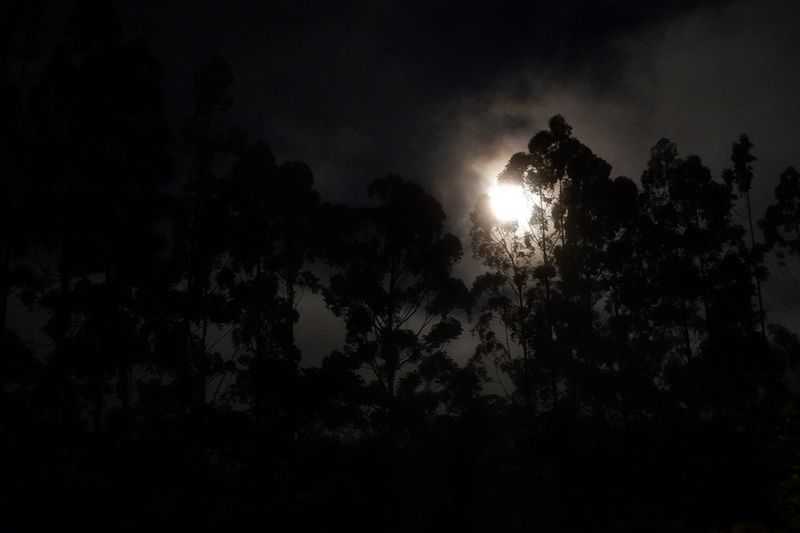 © Zonia Zena - Image from the Once it bursts into the air, nothing dies. photography project
