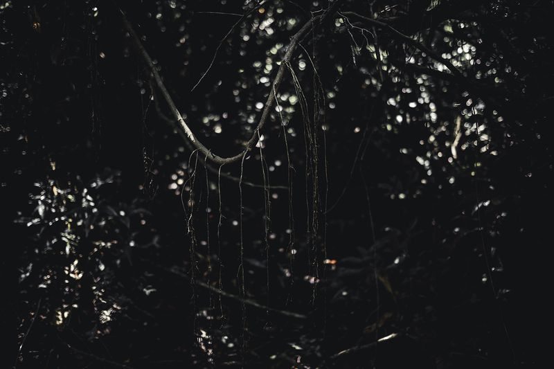 © Zonia Zena - Image from the Once it bursts into the air, nothing dies. photography project