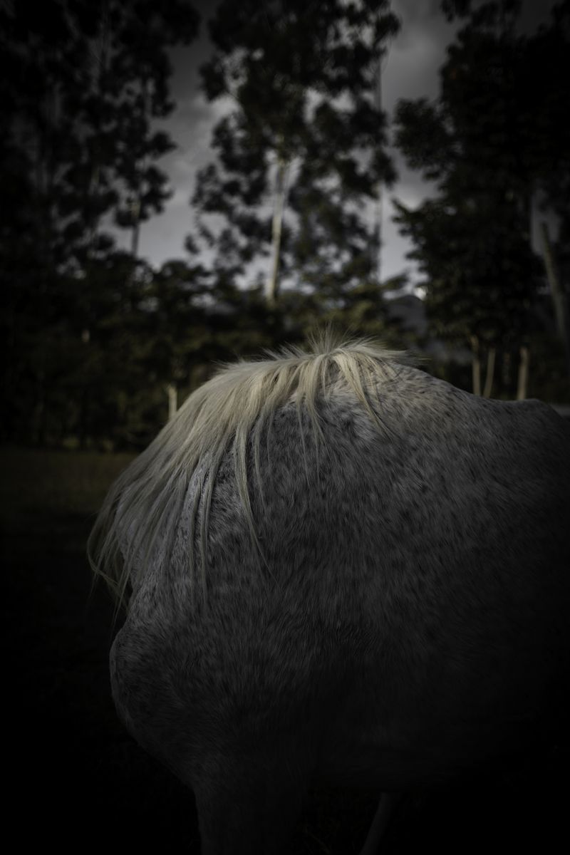 © Zonia Zena - Image from the Once it bursts into the air, nothing dies. photography project