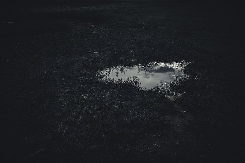 © Zonia Zena - Image from the Once it bursts into the air, nothing dies. photography project