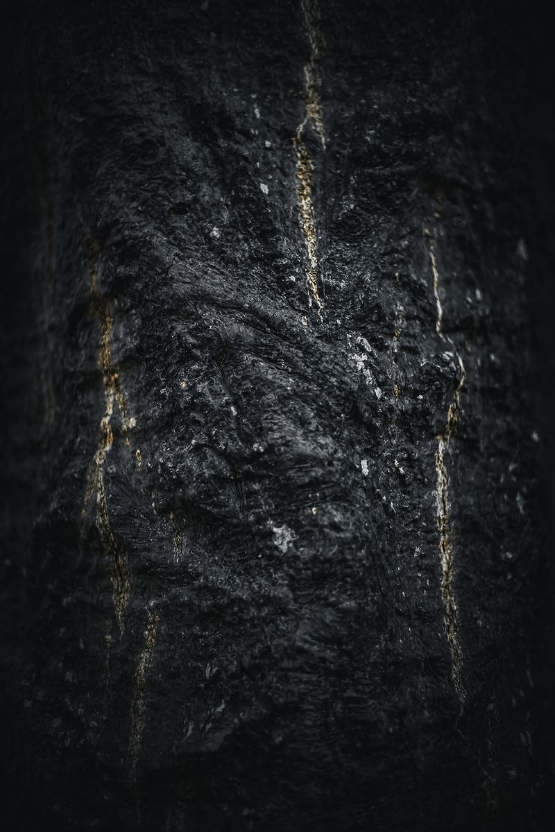 © Zonia Zena - Image from the Once it bursts into the air, nothing dies. photography project