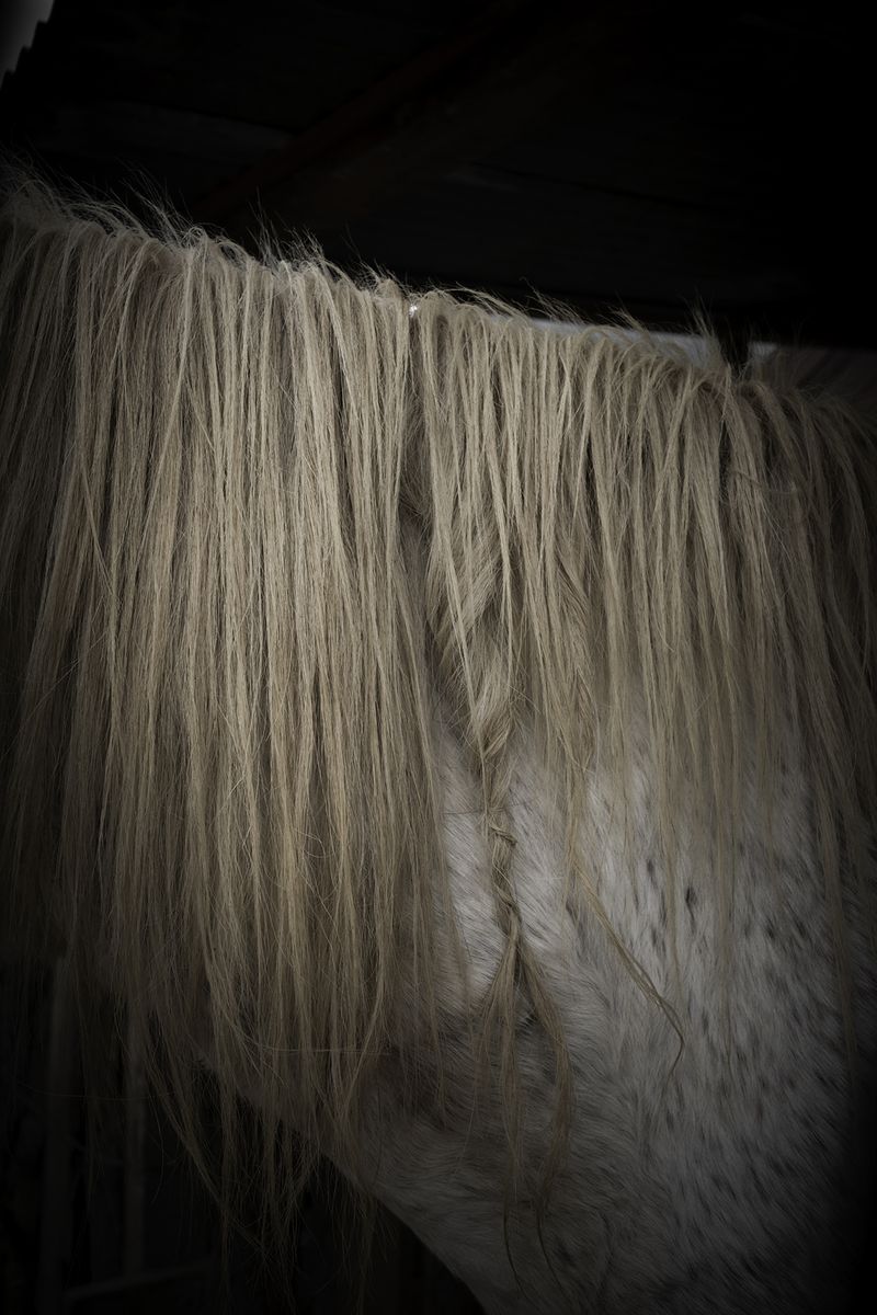 © Zonia Zena - Image from the Once it bursts into the air, nothing dies. photography project