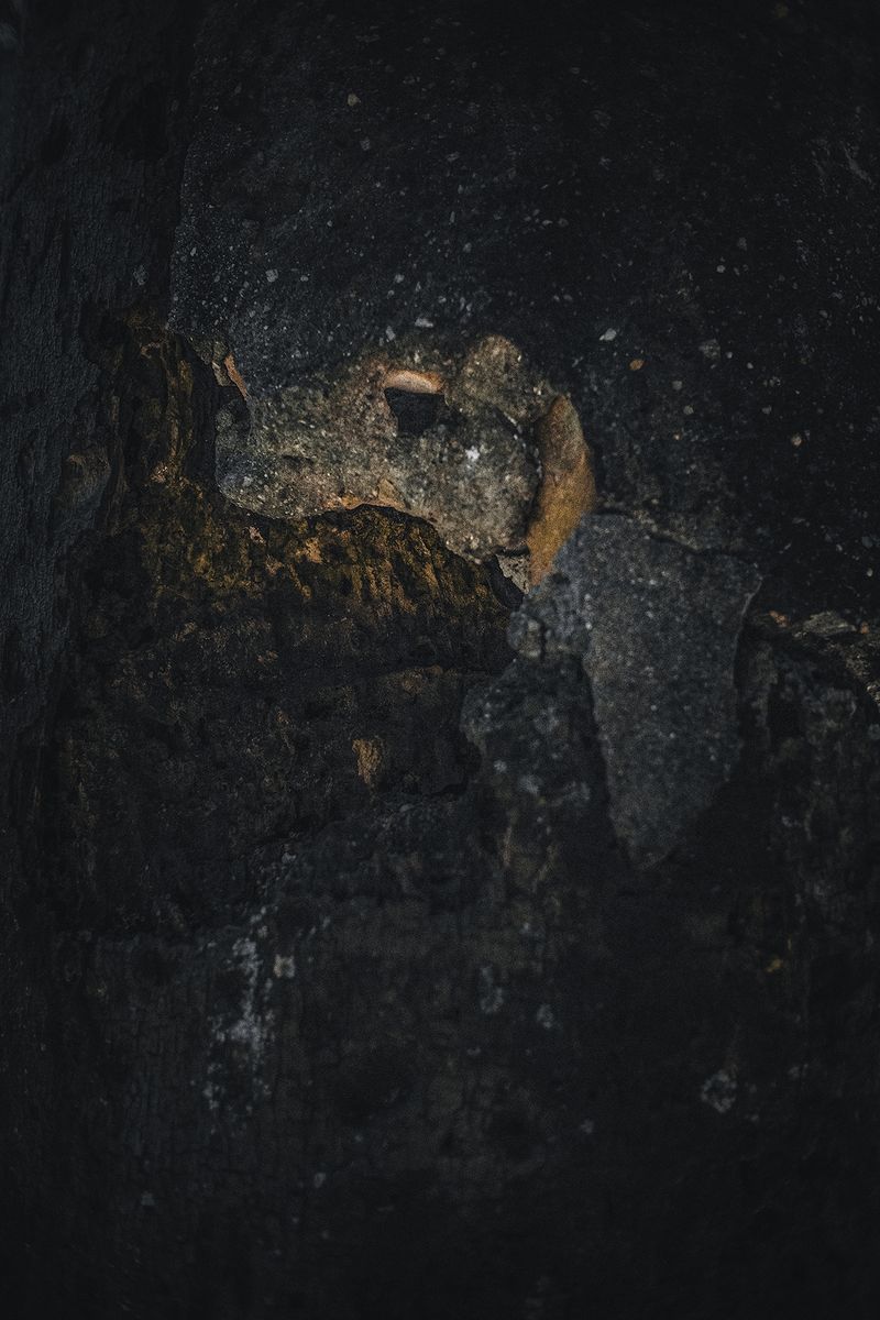 © Zonia Zena - Image from the Once it bursts into the air, nothing dies. photography project