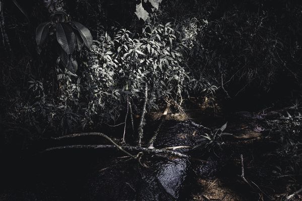 © Zonia Zena - Image from the Once it bursts into the air, nothing dies. photography project
