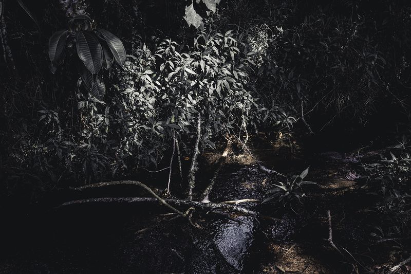 © Zonia Zena - Image from the Once it bursts into the air, nothing dies. photography project