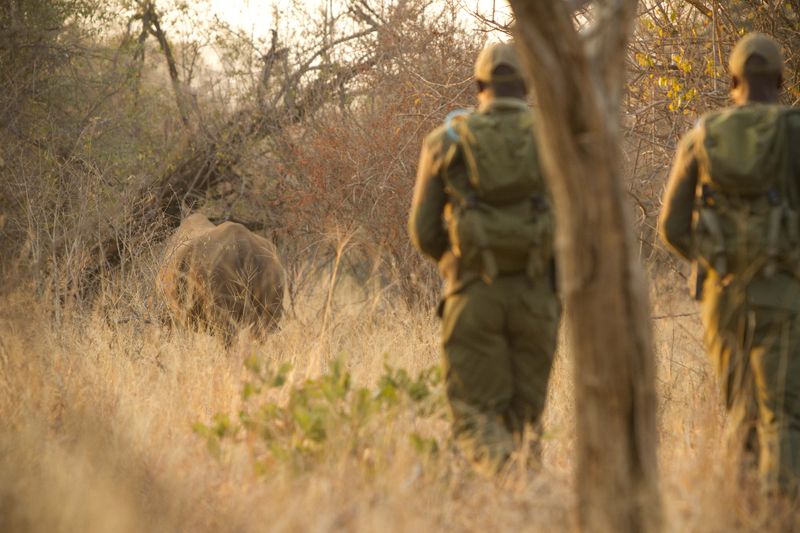 © Hilary O'Leary - Normal day in the life of a wildlife game scout