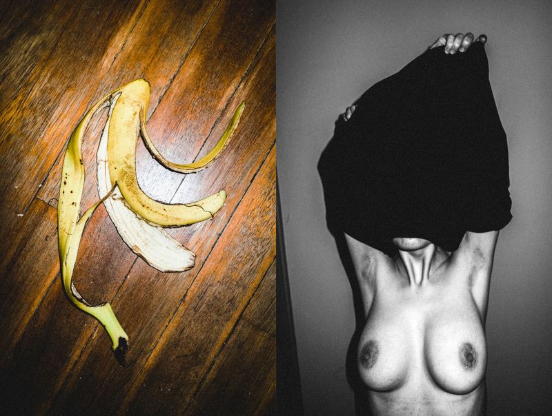 © Elizabeth Rovit - FUNGI 2018-2024