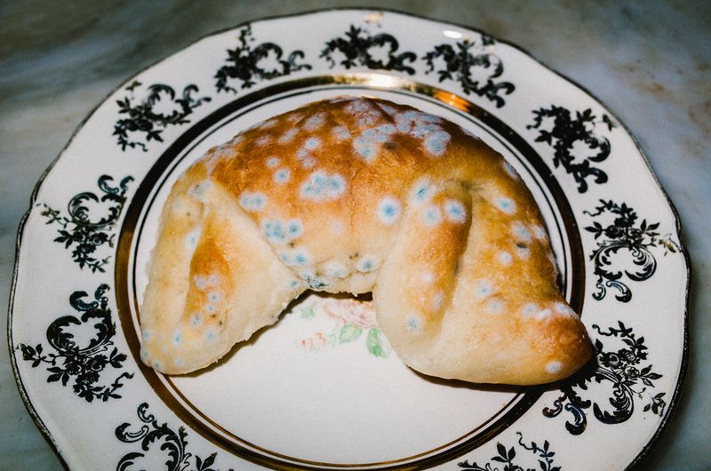 © Elizabeth Rovit - FUNGI 2018-2024