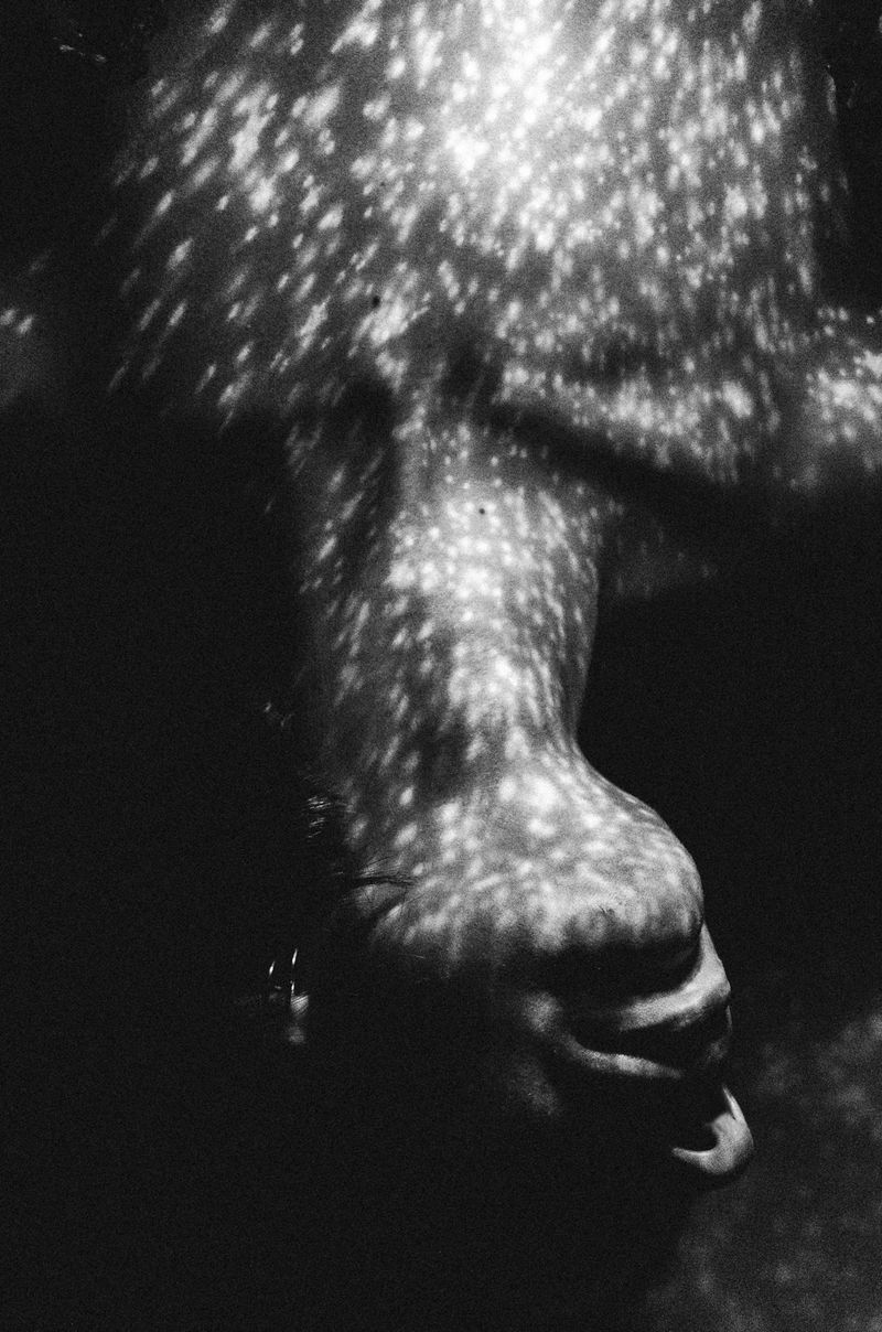 © Elizabeth Rovit - FUNGI 2018-2024