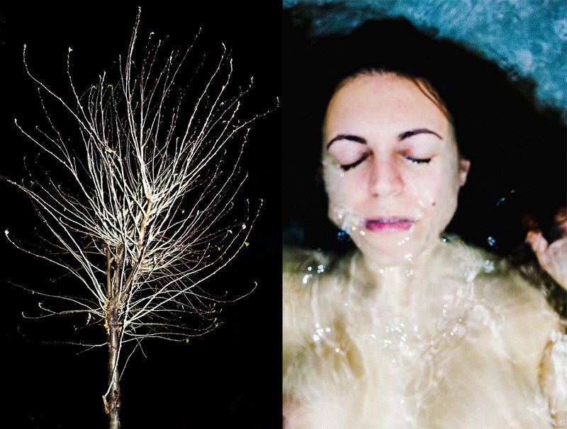 © Elizabeth Rovit - FUNGI 2018-2024