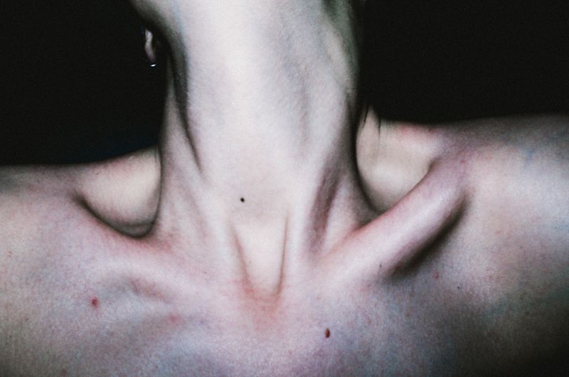 © Elizabeth Rovit - FUNGI 2018-2024