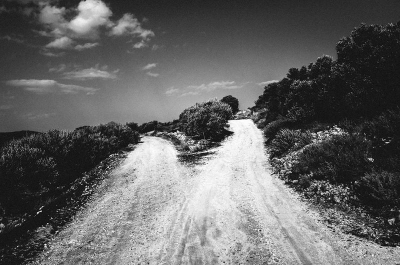 © Elizabeth Rovit - FUNGI 2018-2024