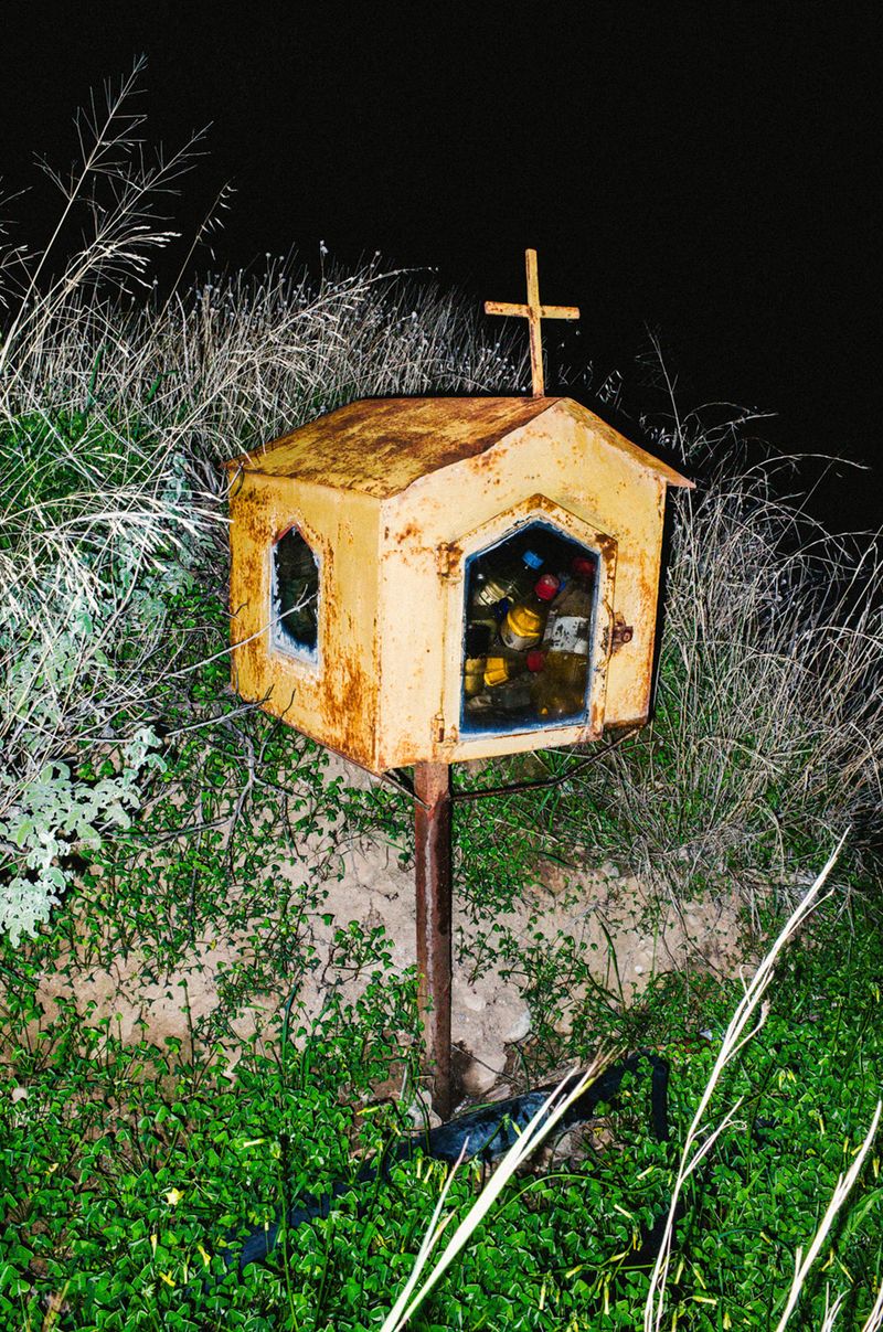 © Elizabeth Rovit - FUNGI 2018-2024