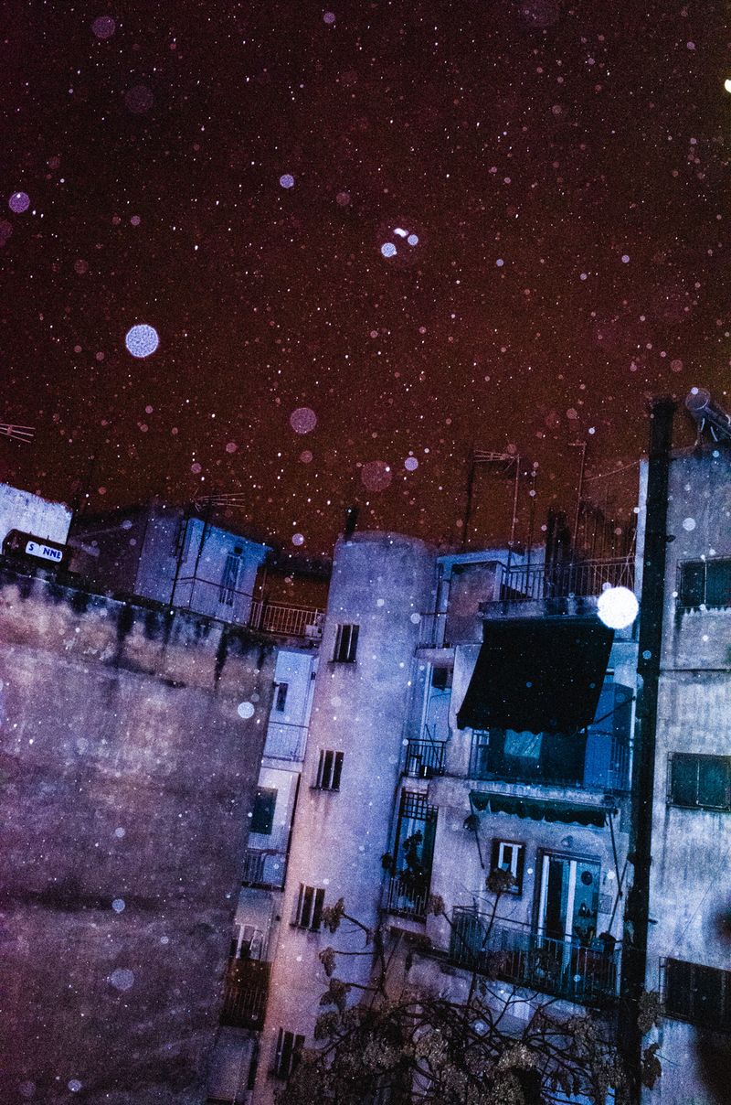 © Elizabeth Rovit - FUNGI 2018-2024