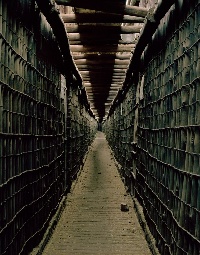 © The Cool Couple - Image from the A Vast Machine photography project