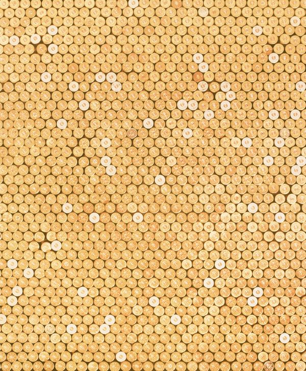 © The Cool Couple - Image from the A Vast Machine photography project