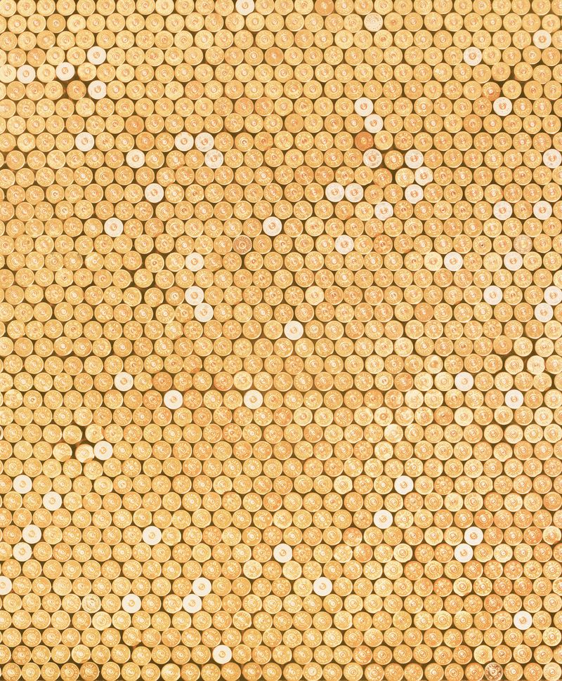 © The Cool Couple - Image from the A Vast Machine photography project