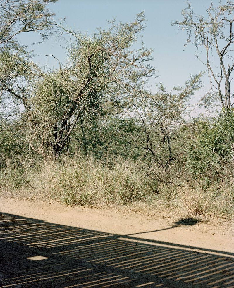 © The Cool Couple - Image from the A Vast Machine photography project