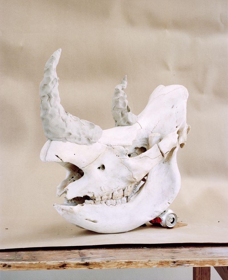 © The Cool Couple - Image from the A Vast Machine photography project