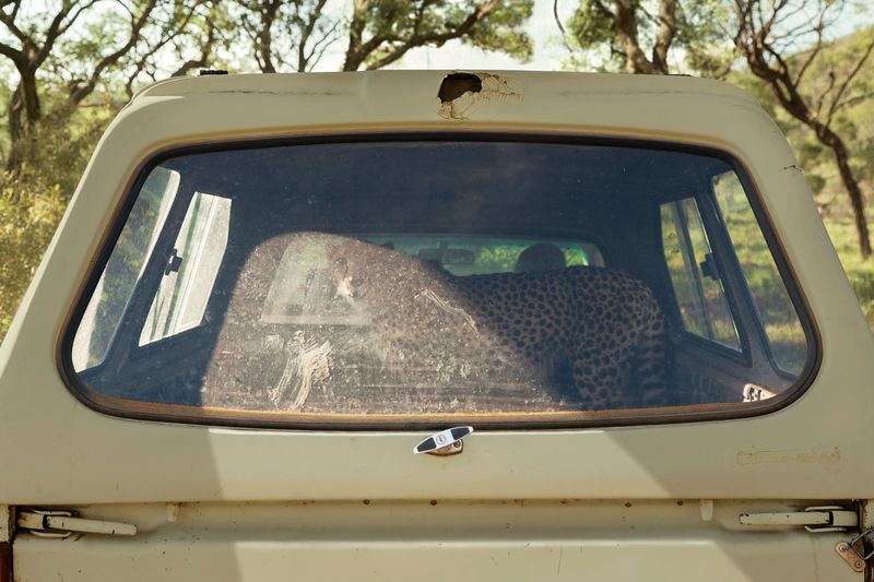 © The Cool Couple - Image from the A Vast Machine photography project