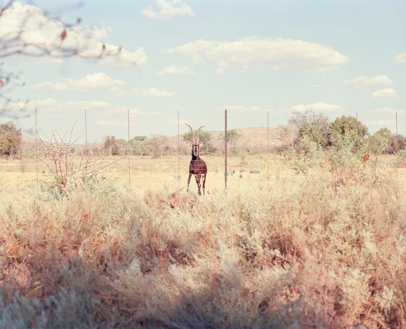 © The Cool Couple - Image from the A Vast Machine photography project