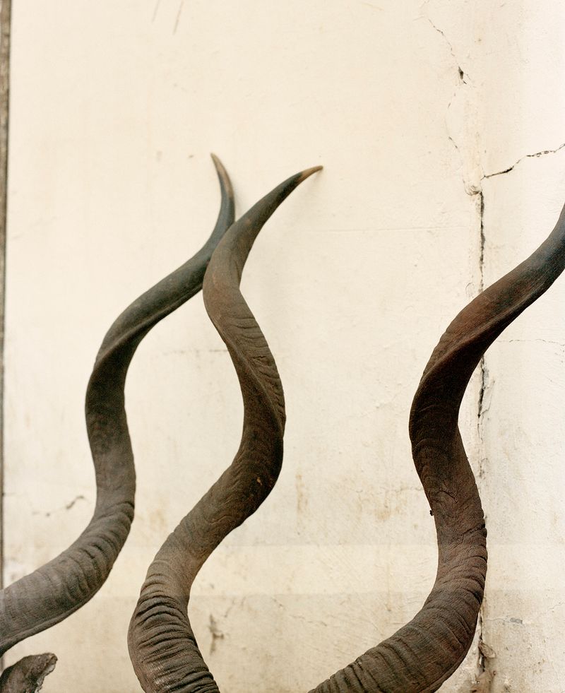 © The Cool Couple - Image from the A Vast Machine photography project