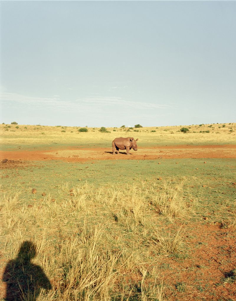 © The Cool Couple - Image from the A Vast Machine photography project