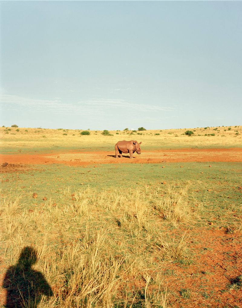 © The Cool Couple - Image from the A Vast Machine photography project