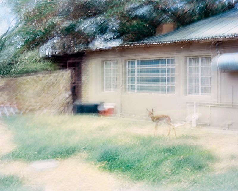 © The Cool Couple - Image from the A Vast Machine photography project