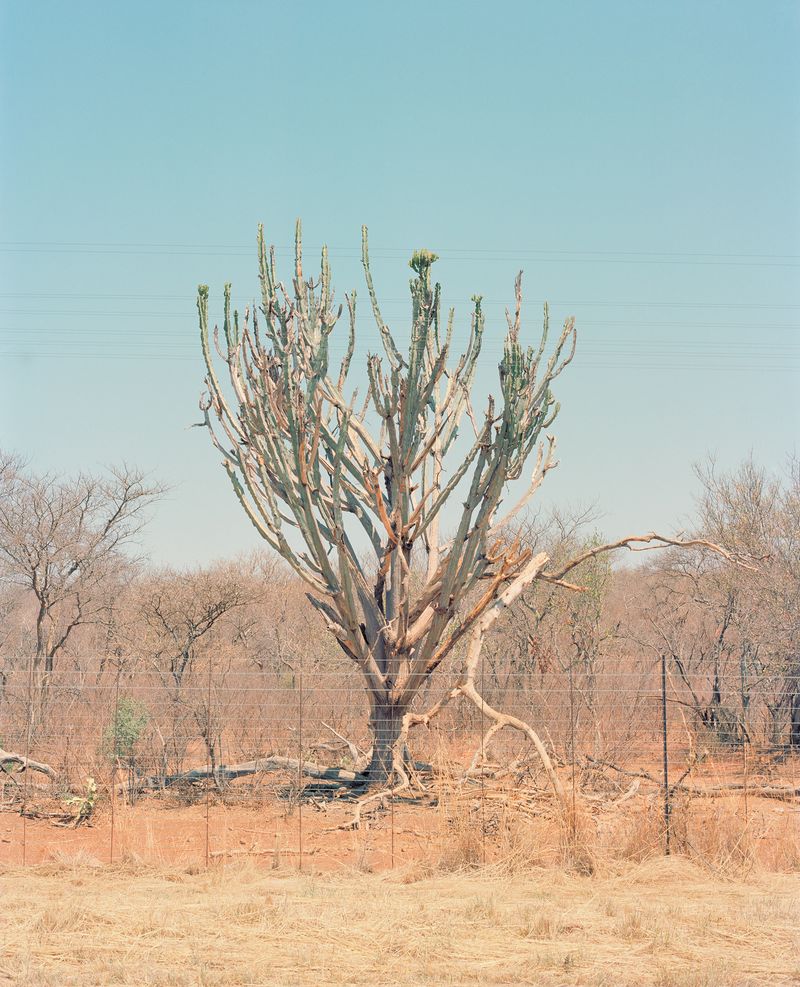 © The Cool Couple - Image from the A Vast Machine photography project