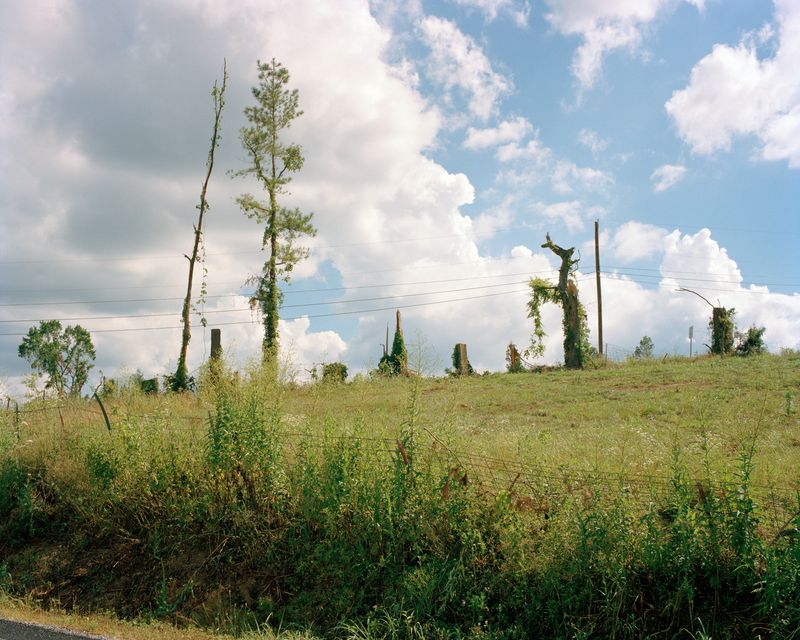 © Ian Edward White - Untitled, Columbia, TN, 2024