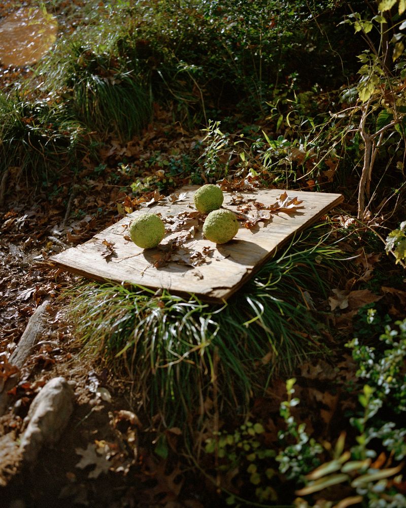 © Ian Edward White - Untitled, Murfreesboro, TN, 2024