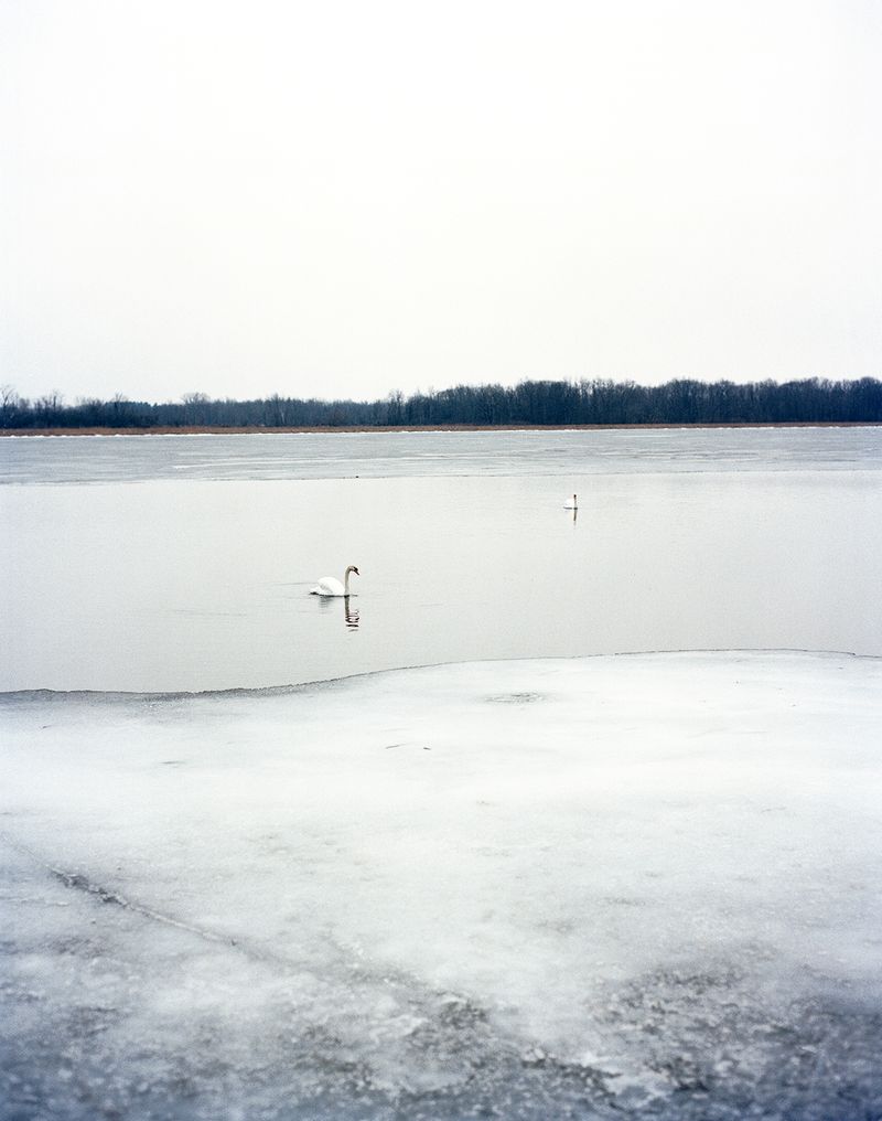 © Ian Edward White - Bathed in White, 2022