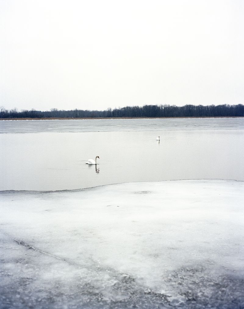 © Ian Edward White - Bathed in White, 2022