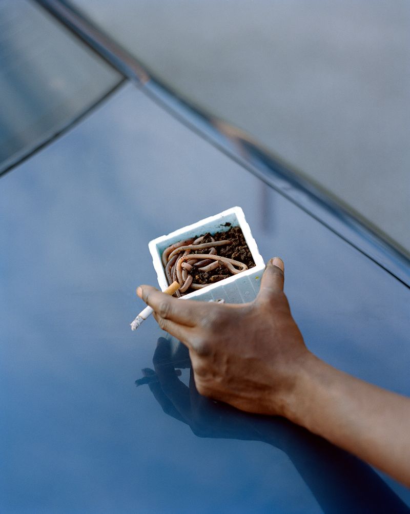 © Ian Edward White - Seven in the Morning, 2021