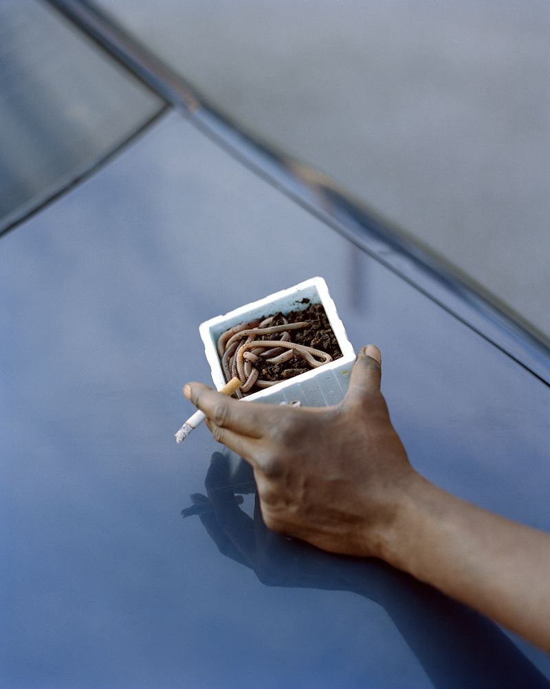 © Ian Edward White - Seven in the Morning, 2021